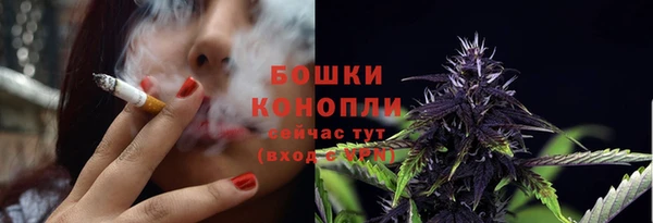 ГАЛЛЮЦИНОГЕННЫЕ ГРИБЫ Балахна