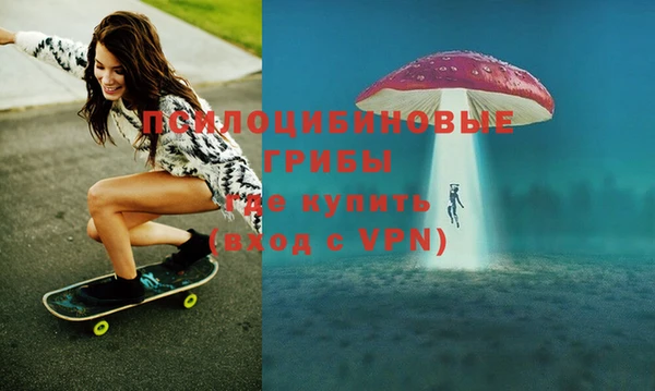 ГАЛЛЮЦИНОГЕННЫЕ ГРИБЫ Балахна