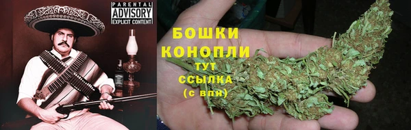 ГАЛЛЮЦИНОГЕННЫЕ ГРИБЫ Балахна