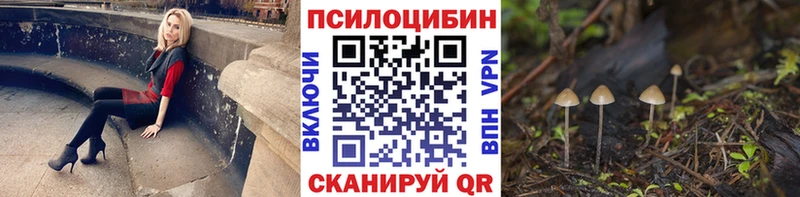 продажа наркотиков  kraken вход  Псилоцибиновые грибы Psilocybe  Краснослободск 