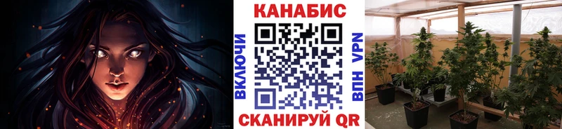 Каннабис White Widow  Краснослободск 